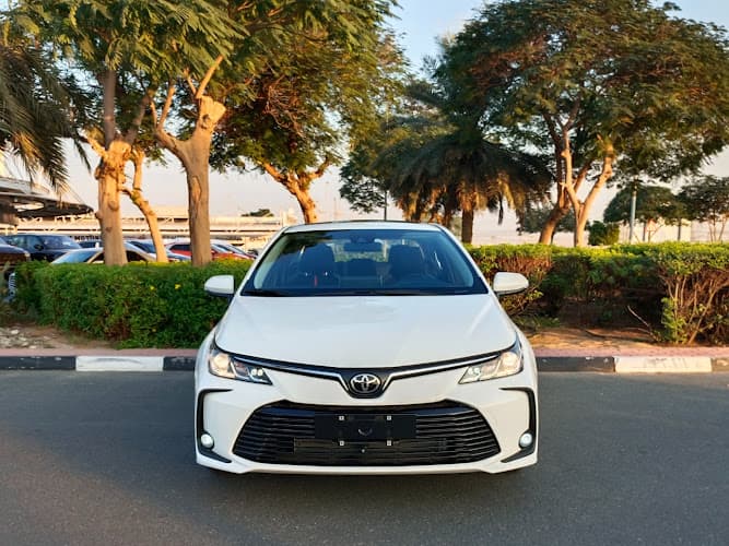 OTO Road Car Rental
