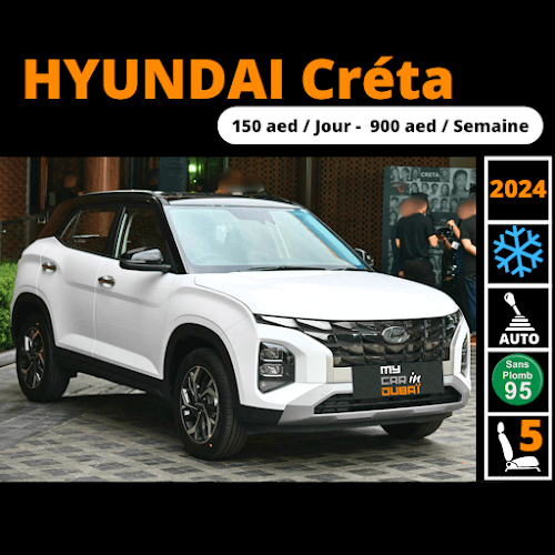 DUDU CAR RENTAL LLC