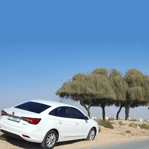 Wheels on lease car rental LLC