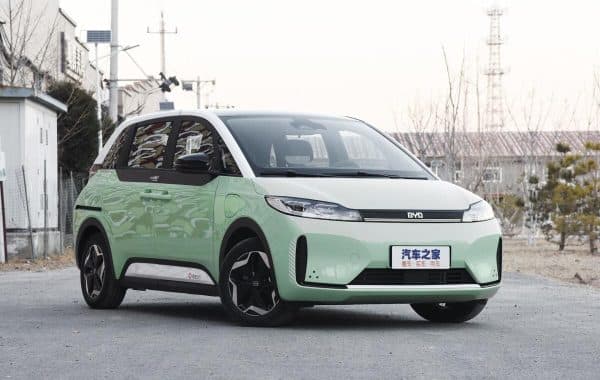 BYD D1