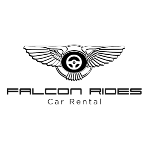 Falcon Rides Dubai